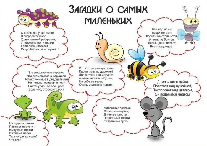 Загадки, связанные с экологией - для занимательных уроков