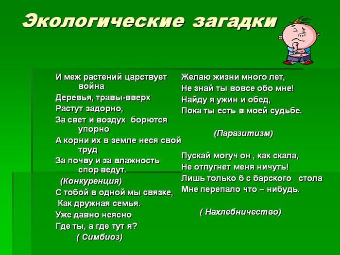 Загадки на тему экология для школьников про мусор