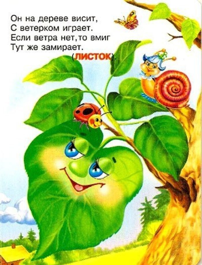 Информационное мероприятие по экологии "лесные загадки"