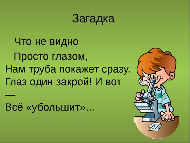 Загадки по биологии с ответами про анатомию человека