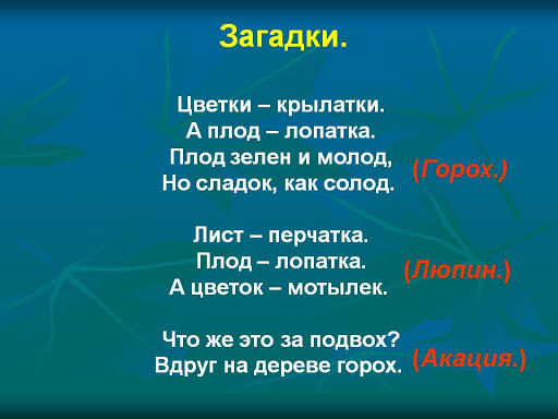 Загадки про плоды по биологии с ответами