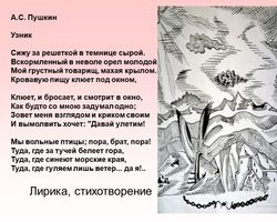Анализ стихотворения «Узник» Пушкина: краткий и полный анализ, жанр, средства выразительности