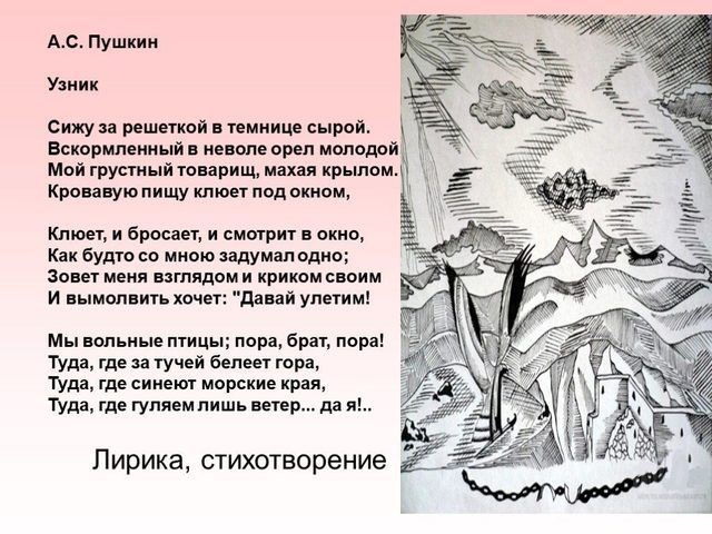 Анализ стихотворения «Узник» Пушкина: краткий и полный анализ, жанр, средства выразительности