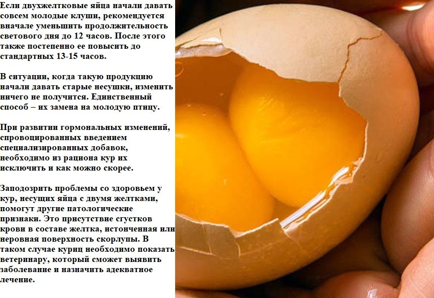 Решение проблемы с двумя желтками