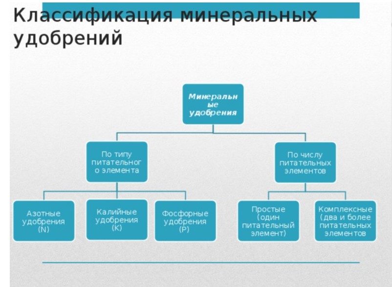 Классификация