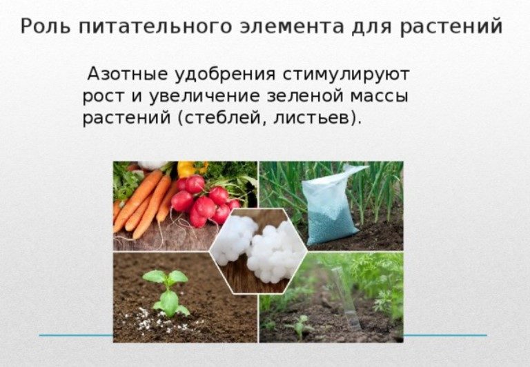 Для роста и развития