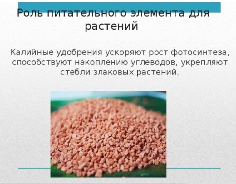 Полезен для злаковых