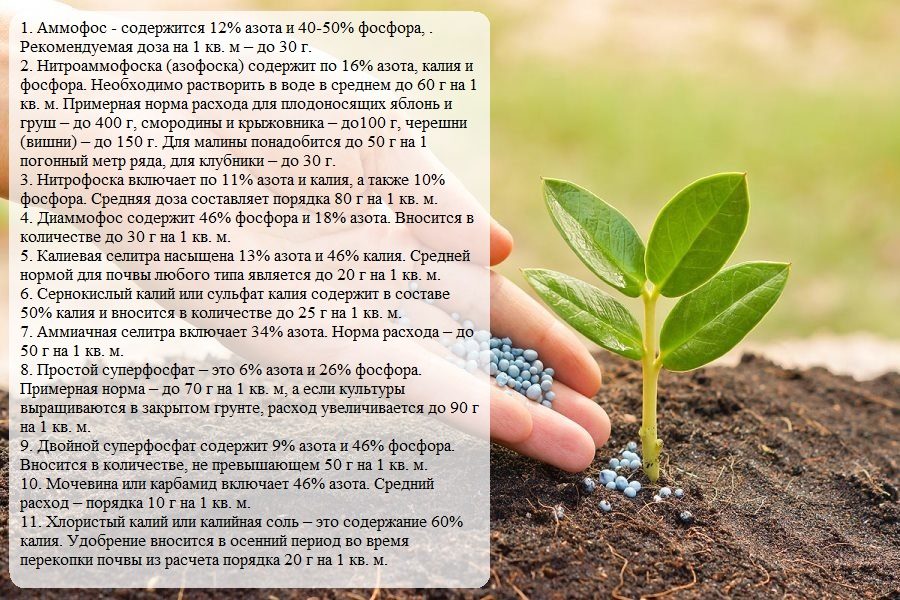 Содержание и нормы