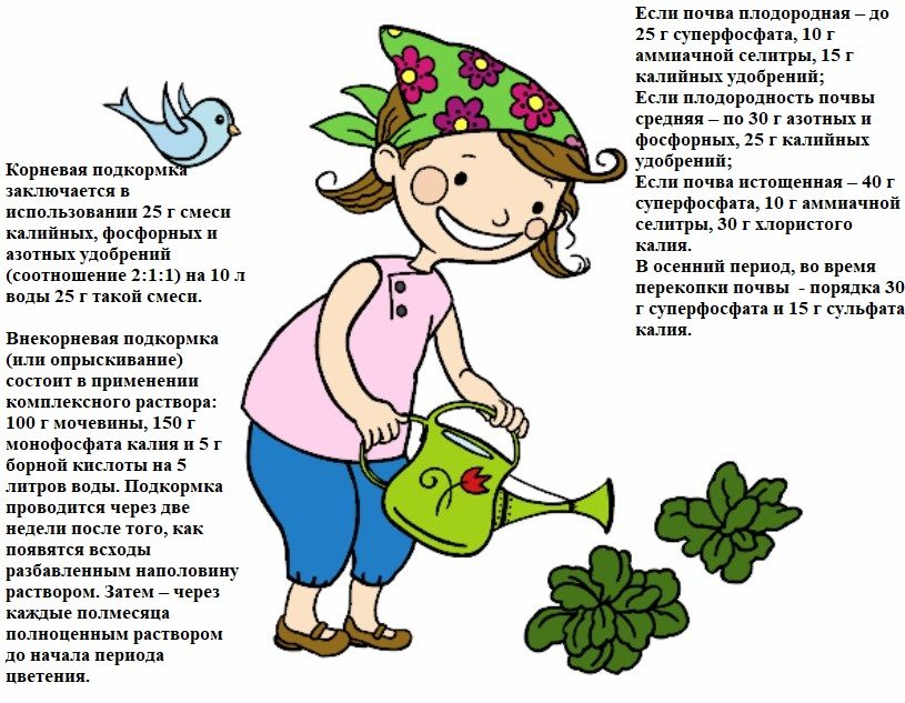 Для картошки