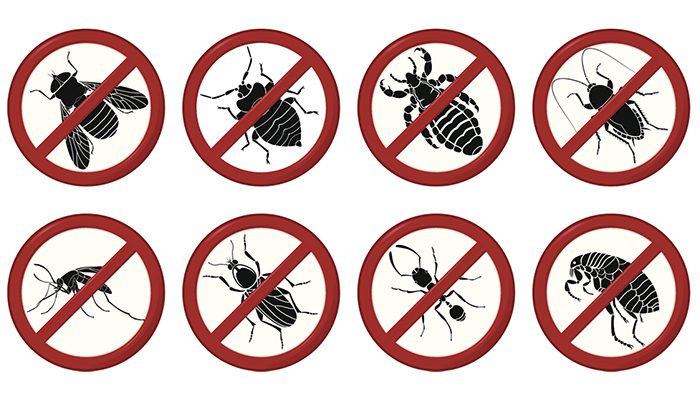 Фуфанон нова уничтожает почти все виды насекомых в саду и огороде