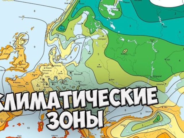 Климатические зоны для растений по морозостойкости в России и странах СНГ