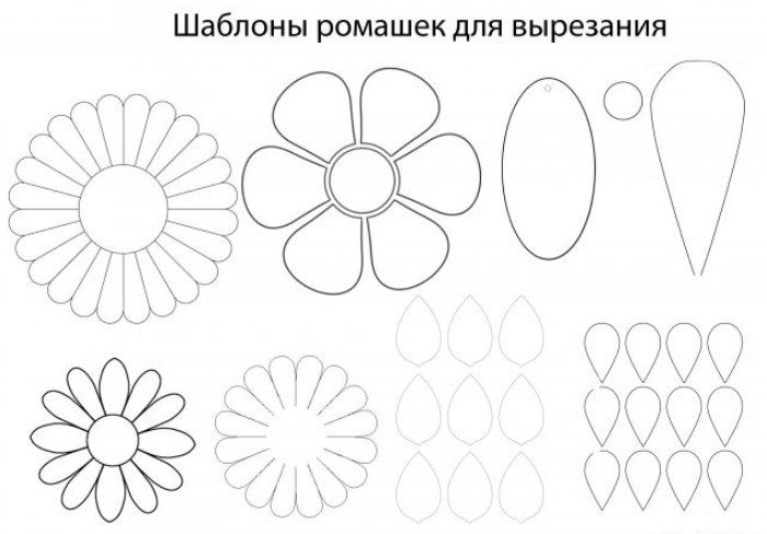 Ромашка с пожеланиями на лепестках: шаблон