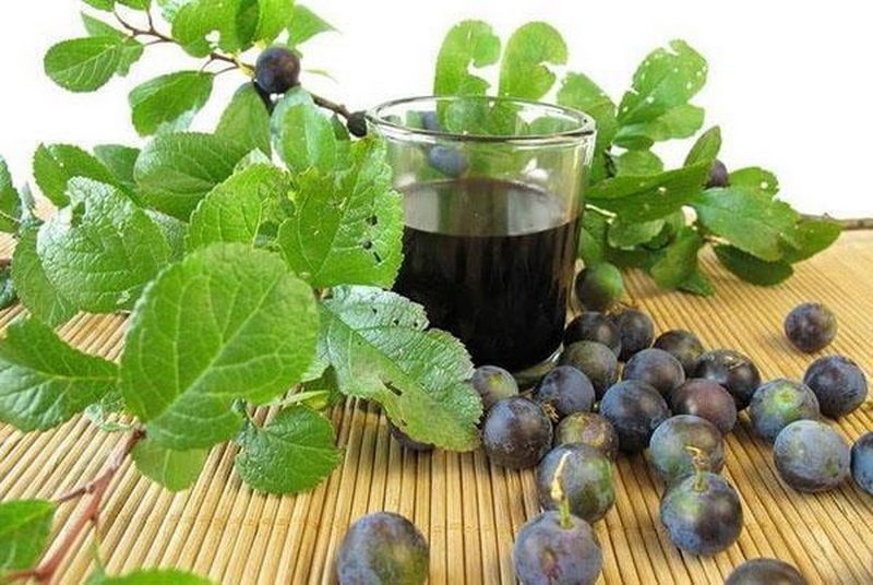 Домашнее вино