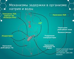 9 эффективных способов избавиться от задержки воды, жидкости в организме: соль, магний, калий, витамин В6, натуральные диуретики, сон, физическая активность