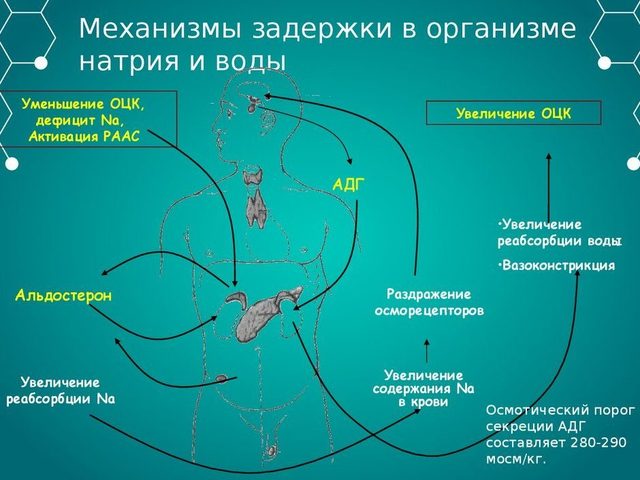 9 эффективных способов избавиться от задержки воды, жидкости в организме: соль, магний, калий, витамин В6, натуральные диуретики, сон, физическая активность