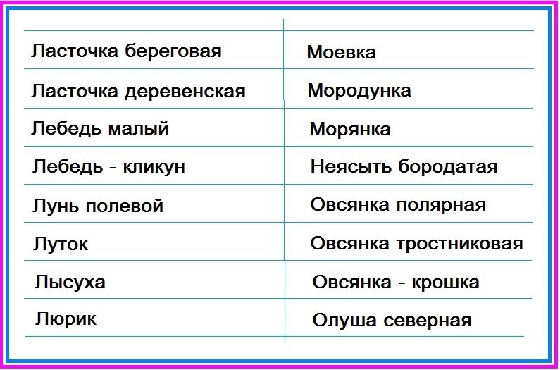 Птицы тундры - таблица