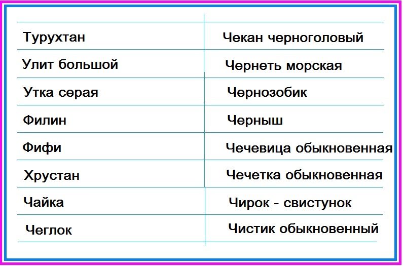 Птицы тундры - таблица