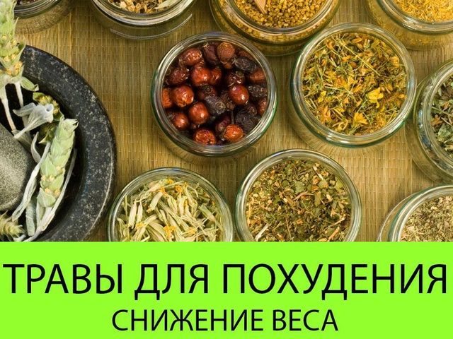 Боретесь с лишними килограммами — природа поможет травами для похудения: как пить, рецепты, отзывы