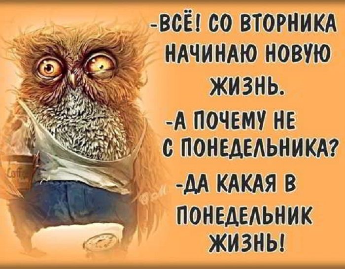 Никогда и ничего не начинайте в понедельник
