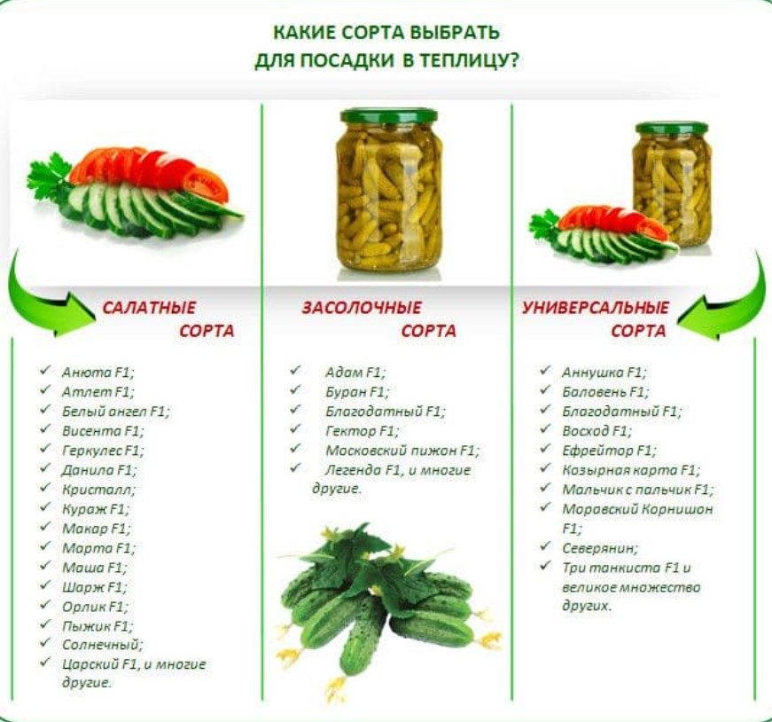 Подбирайте правильные сорта