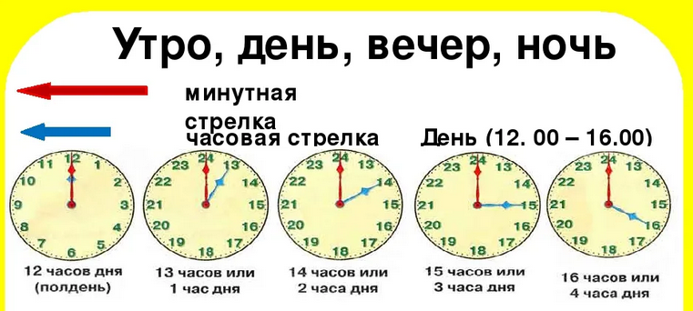 Первая и вторая половина дня