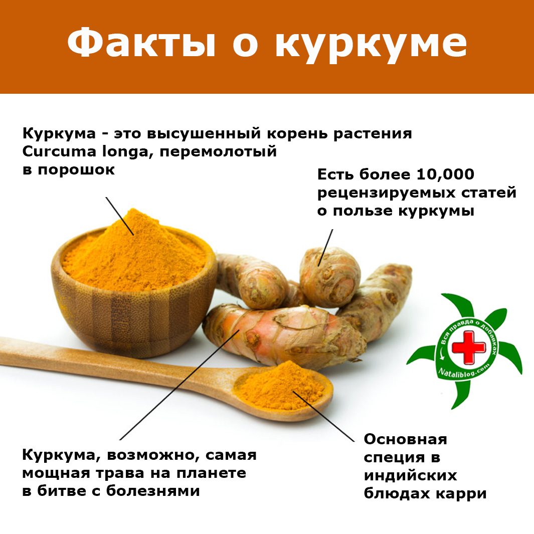 Факты о куркуме