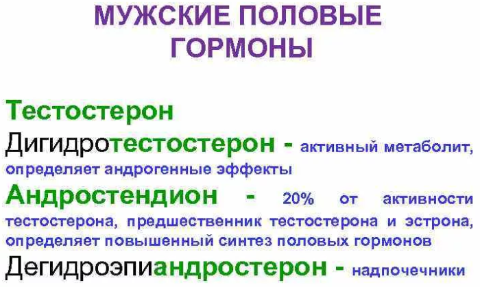 Мужские половые гормоны