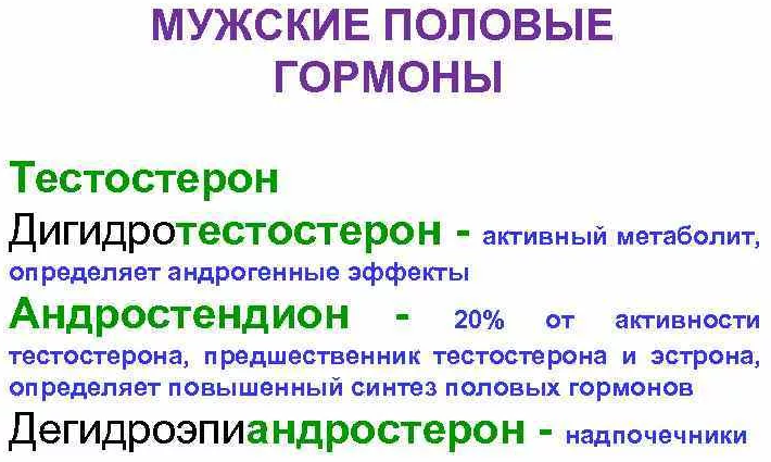 Мужские половые гормоны