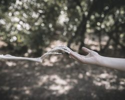 Во сне покойник что-то дает: значение сна