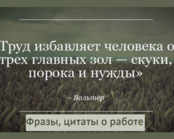 Лучшие фразы, цитаты, статусы про труд, работу, отдых: подборка мудрых, достойных, мотивирующих высказываний, которые изменят жизнь