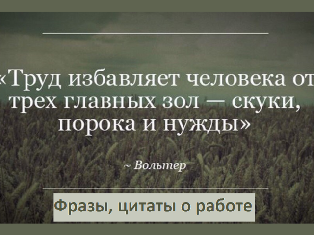 Лучшие фразы, цитаты, статусы про труд, работу, отдых: подборка мудрых, достойных, мотивирующих высказываний, которые изменят жизнь