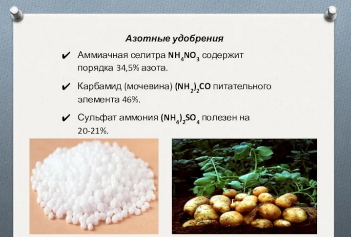 Аммиачная селитра и мочевина (карбамид)