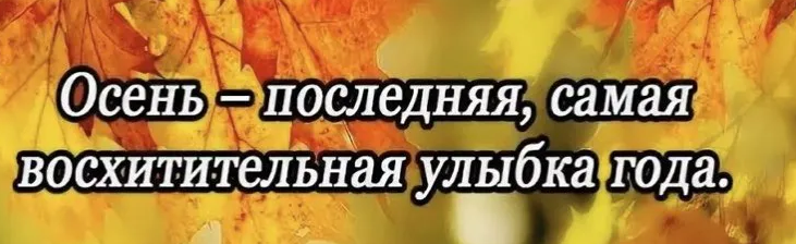 Красивые цитаты про осень и жизнь