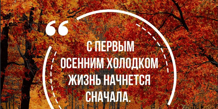 Красивые цитаты про осень и жизнь
