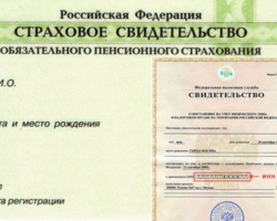 ИНН и Снилс одно тоже: как выглядят, где можно получать, сферы использования