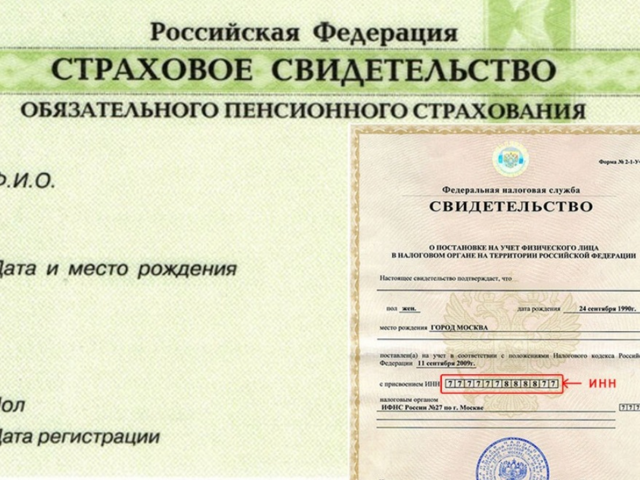ИНН и Снилс одно тоже: как выглядят, где можно получать, сферы использования