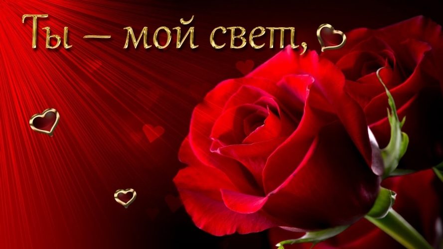 Стишок любимой девушке на каждый день