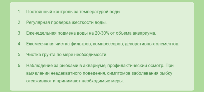 Правильный уход за рыбками в аквариуме