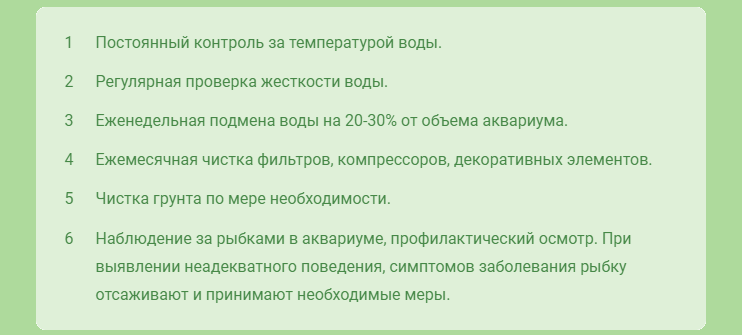 Правильный уход за рыбками в аквариуме