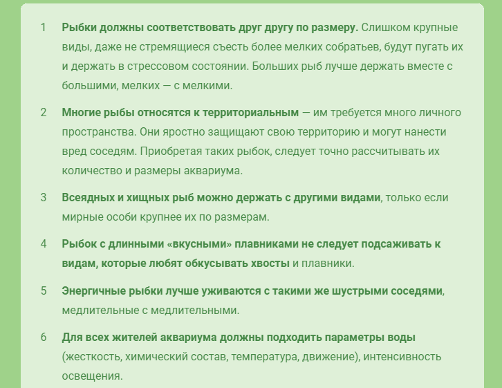 Факторы по содержанию рыбок в аквариуме