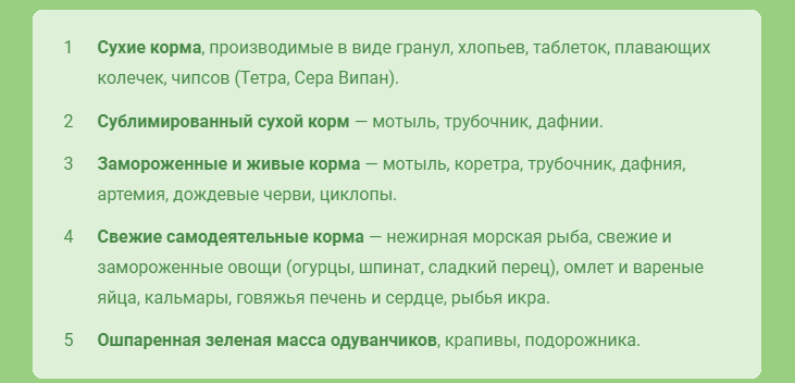 Вот чем нужно кормить рыбок, чтобы они были здоровыми и красивыми