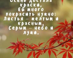 Красивые цитаты и фразы про осень красивые со смыслом: подборка