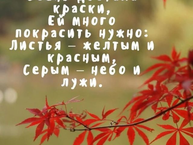 Красивые цитаты и фразы про осень красивые со смыслом: подборка