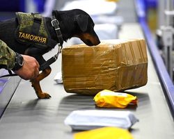 Посылка с Алиэкспресс застряла, задержана на таможне: что делать?