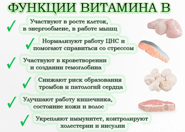 Витамины группы b