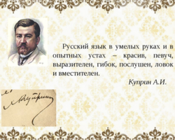Цитаты и высказывания известных писателей о русском языке: подборка