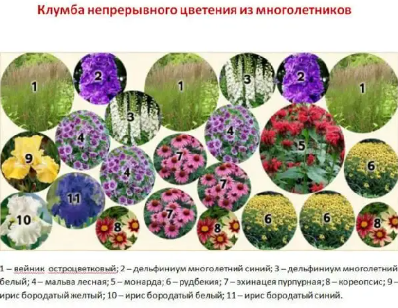 Схема клумбы