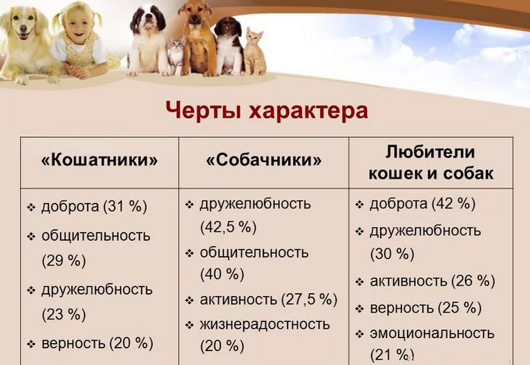 Люди кошатники отличаются от людей собачников