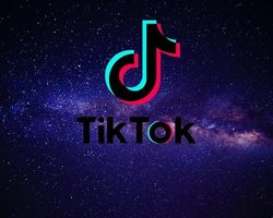 Шутки из Тик Тока — короткие, смешные, бесплатные, до слез: текст, видео