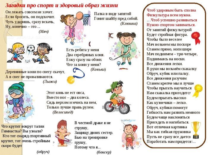 Загадки про зож короткие